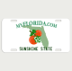 Florida License Plate Vanity Plate