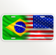 USA BRAZIL FLAG 