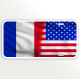 USA FRANCE FLAG 